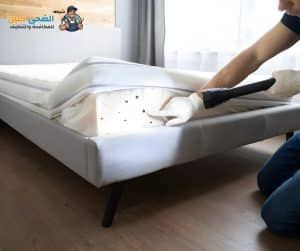 شركة مكافحة البق بالاحساء