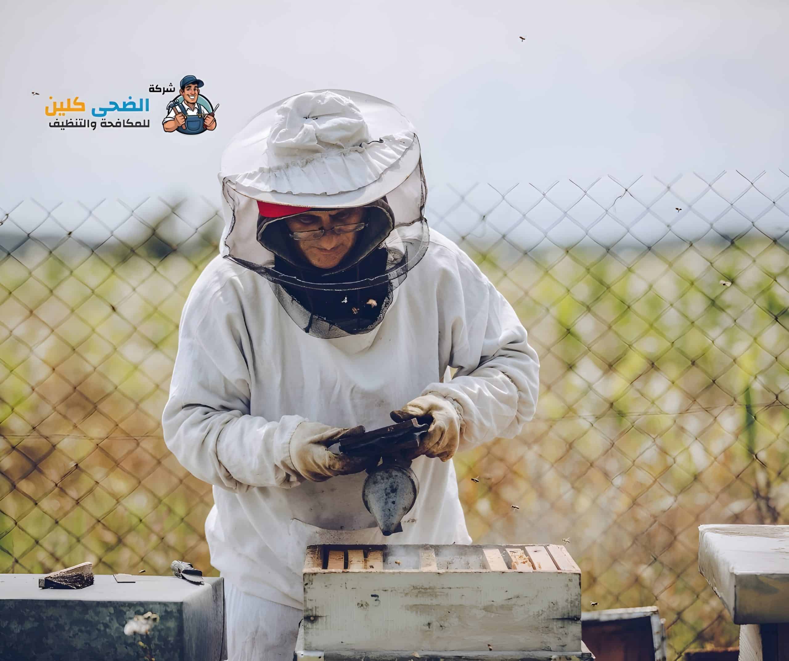 شركة مكافحة النحل بالاحساء