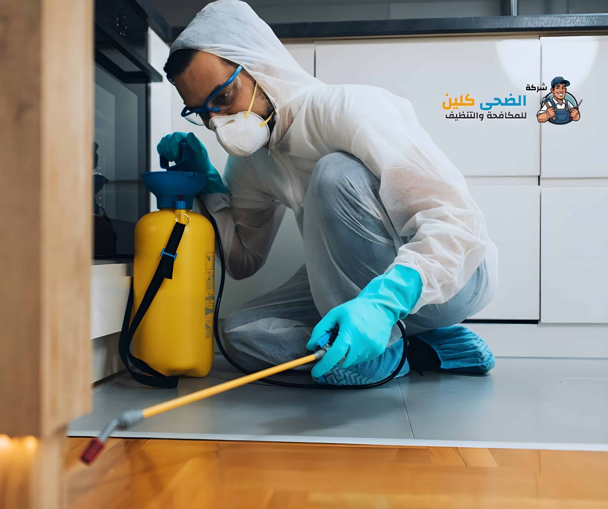 شركة مكافحة النمل الابيض بالاحساء