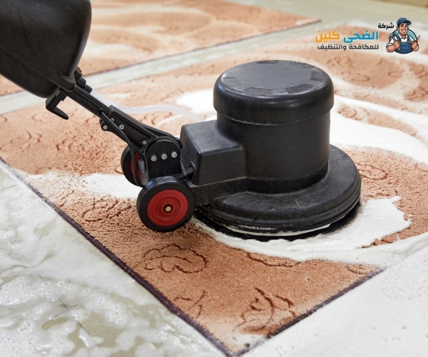 شركة تنظيف سجاد بالاحساء