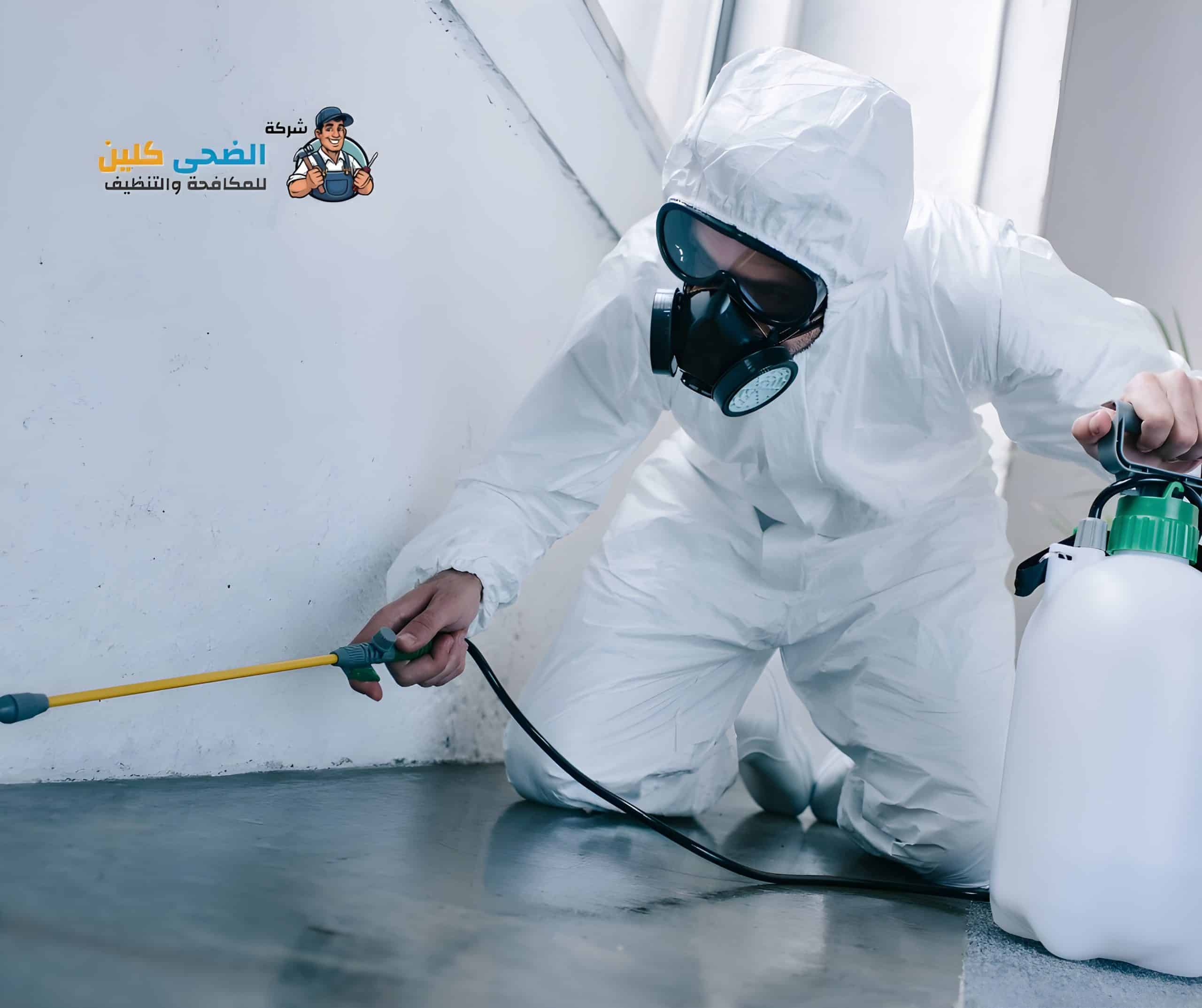شركة رش مبيدات بالاحساء 