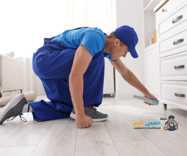 شركة مكافحة الفئران بالاحساء