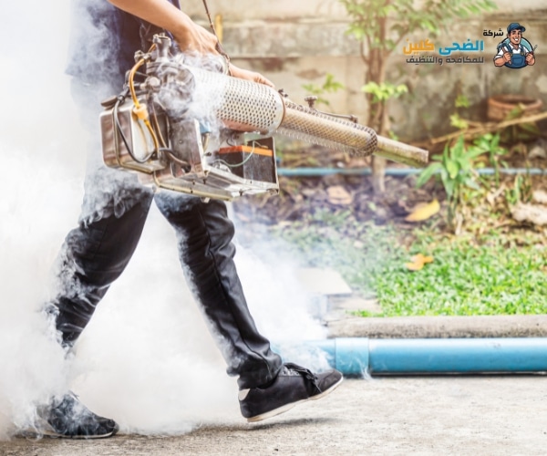 شركة مكافحة الناموس بالاحساء