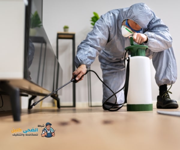 شركة مكافحة النمل الابيض بالاحساء