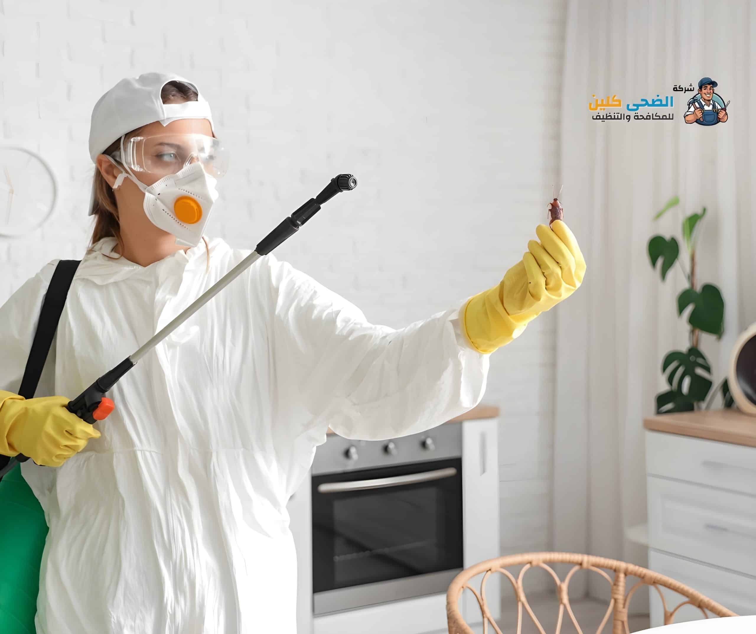 شركة مكافحة حشرات بالاحساء