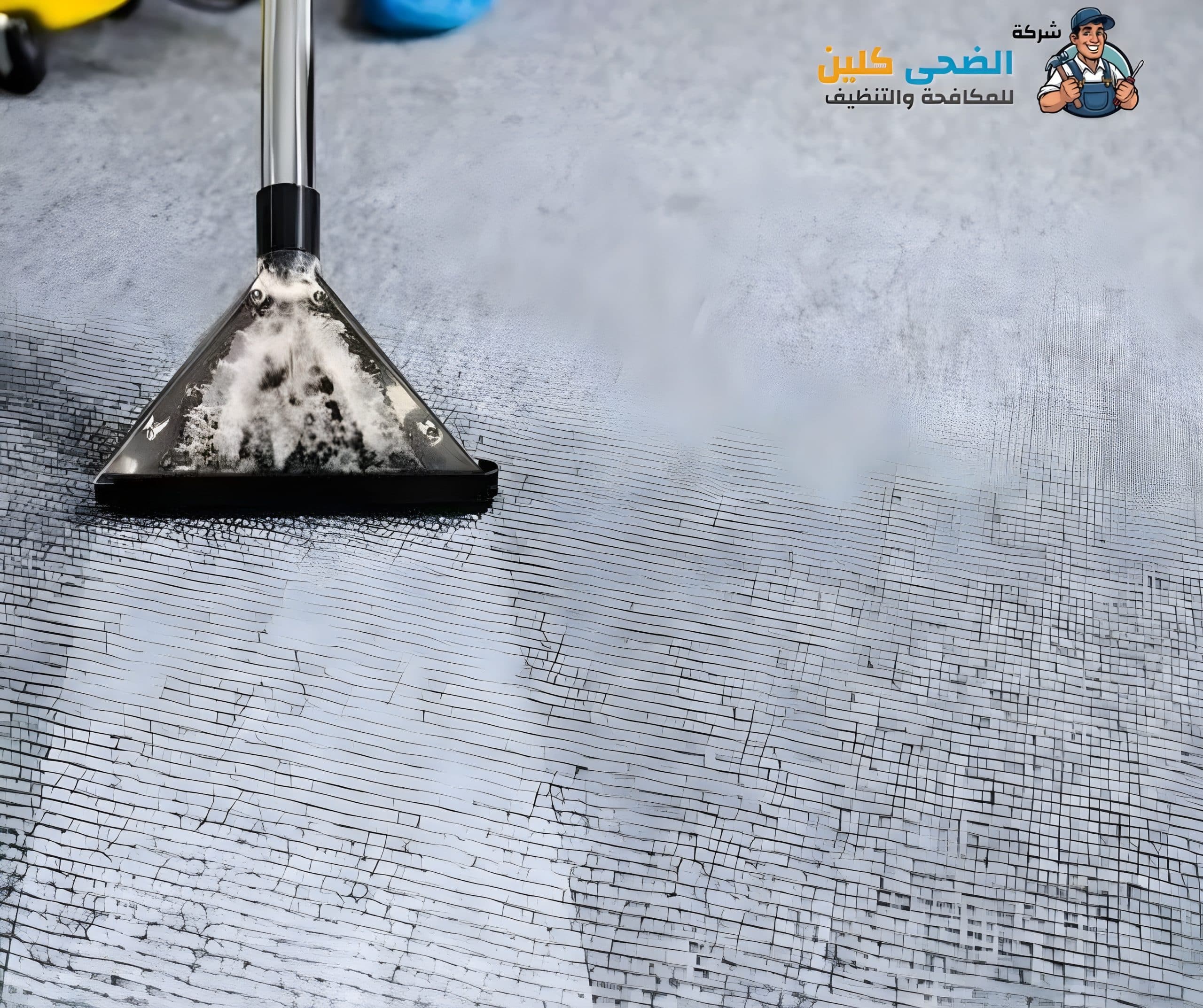 شركة تنظيف موكيت بالهفوف