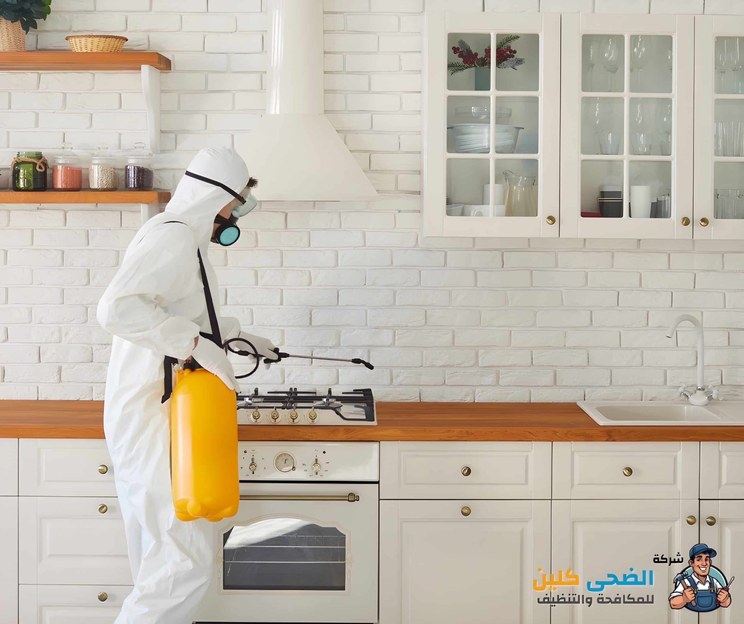 شركة مكافحة الصراصير بالهفوف