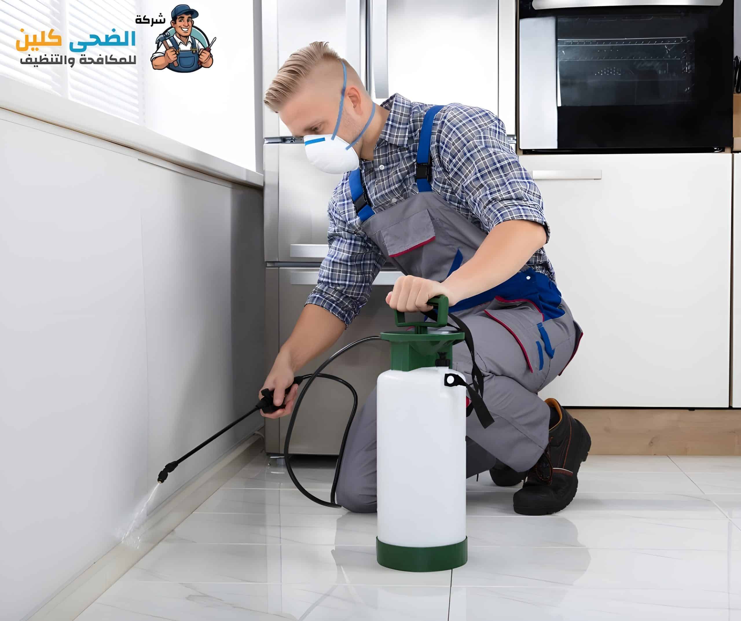 شركة مكافحة الصراصير بالهفوف