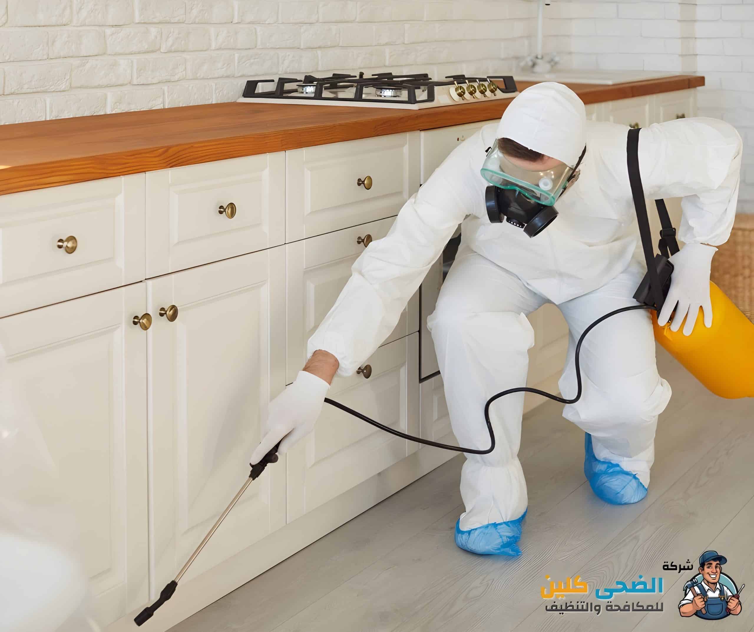 شركة رش مبيدات بالهفوف