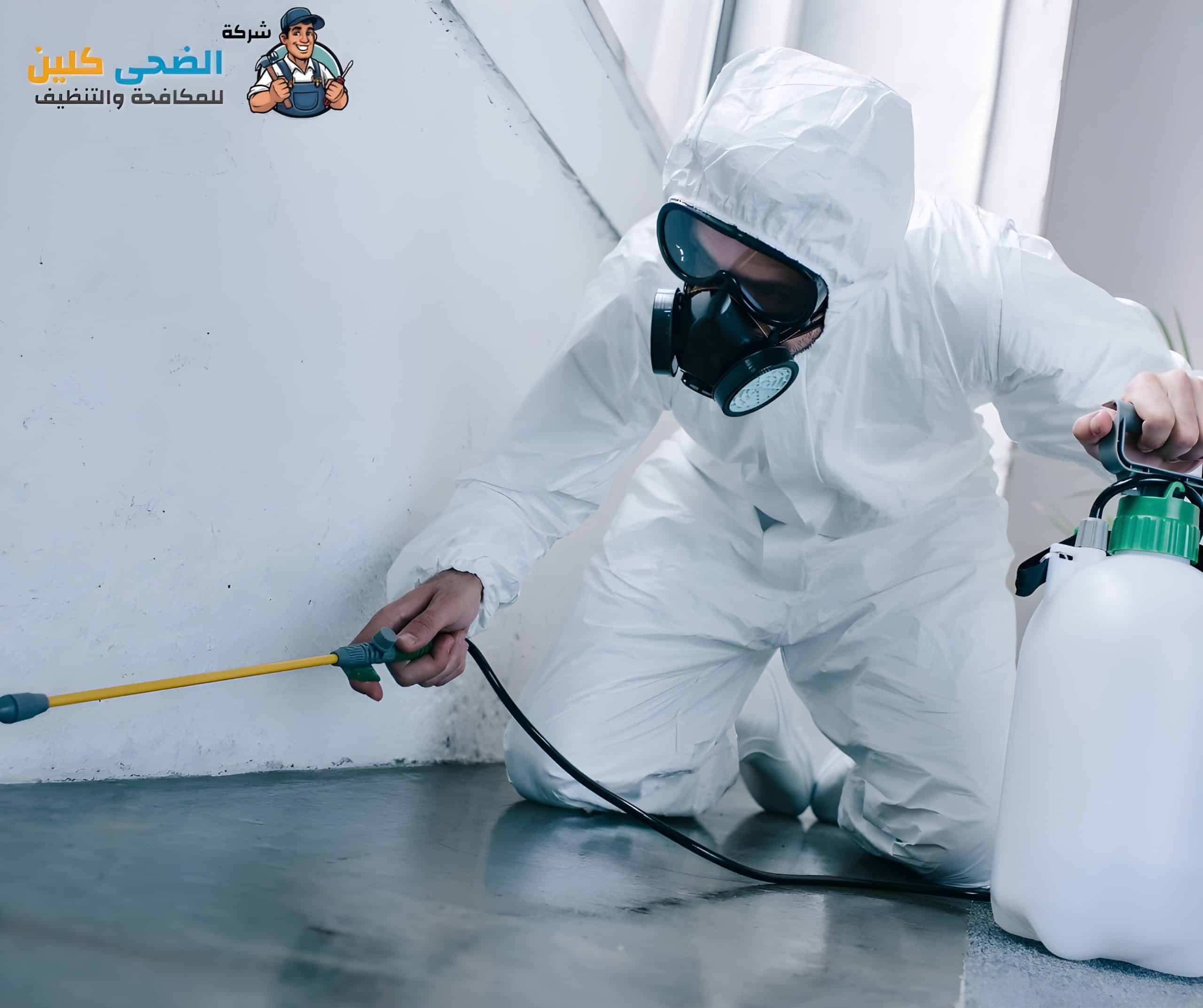 شركة رش مبيدات بالهفوف