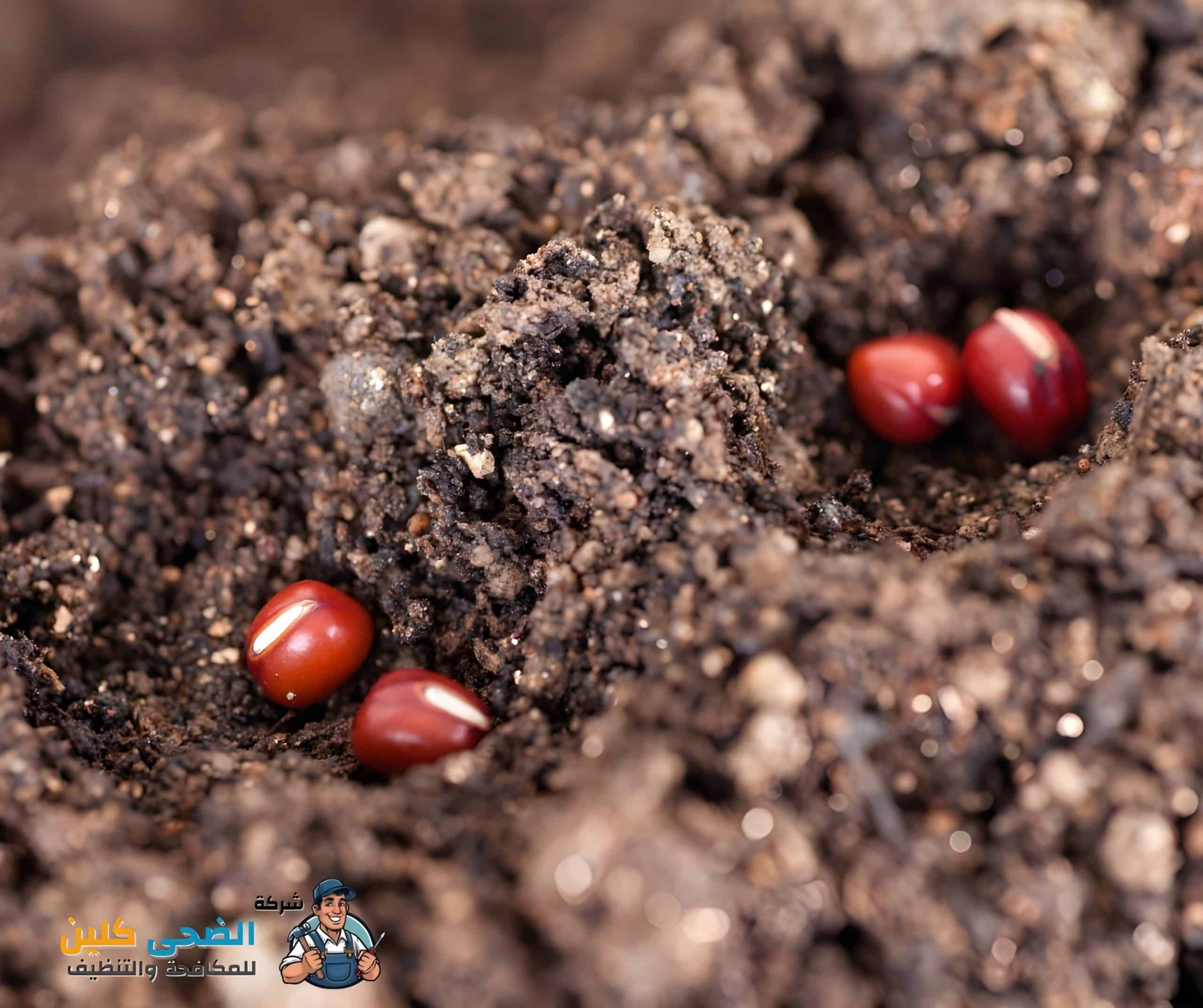 شركة رش دفان بالهفوف