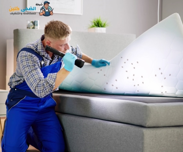 شركة مكافحة البق بالمبرز 