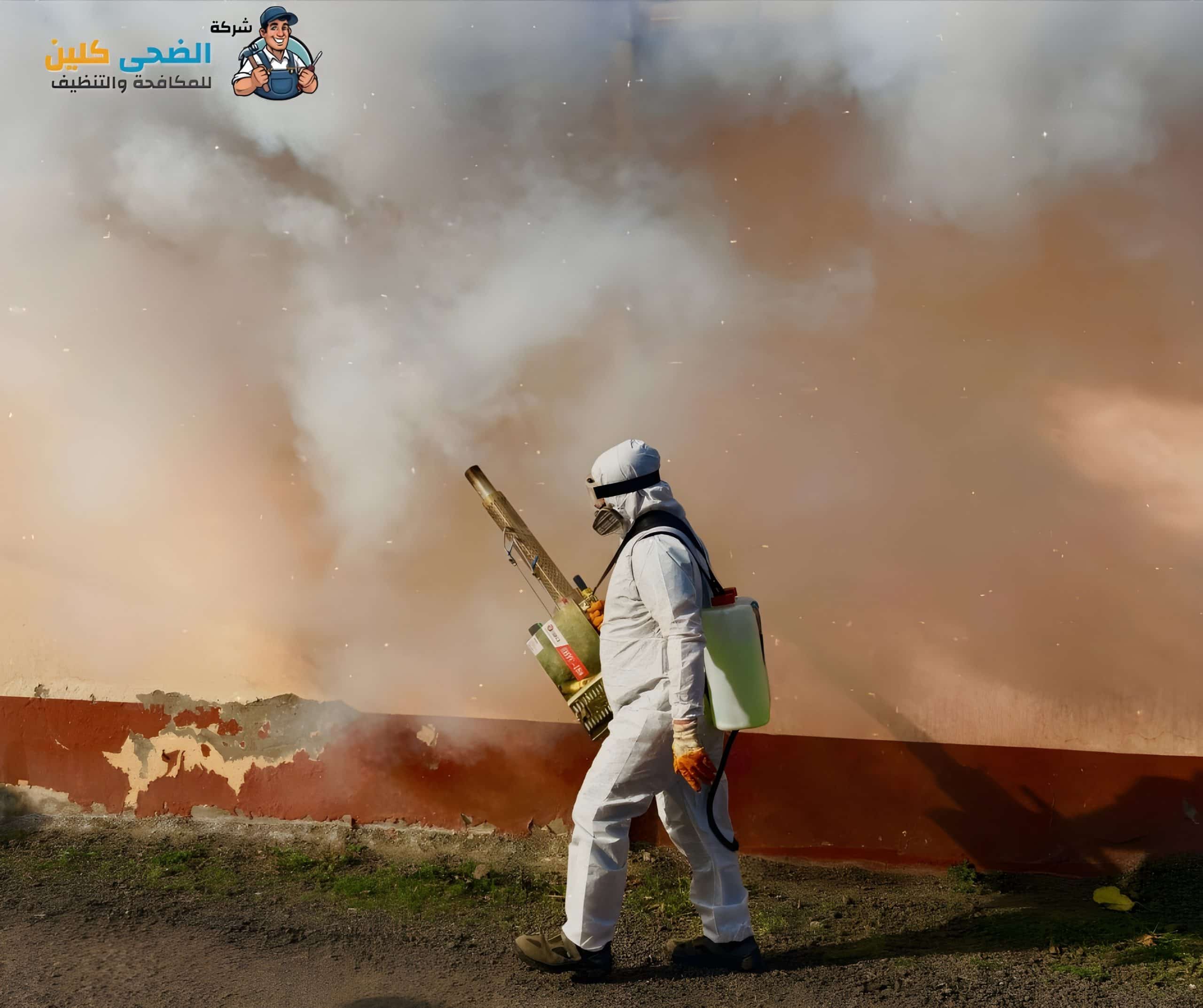شركة مكافحة الوزغ بالمبرز