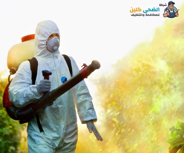 شركة مكافحة حشرات بحي الشروفية