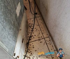 شركة تنظيف فرشات بالنعيرية 