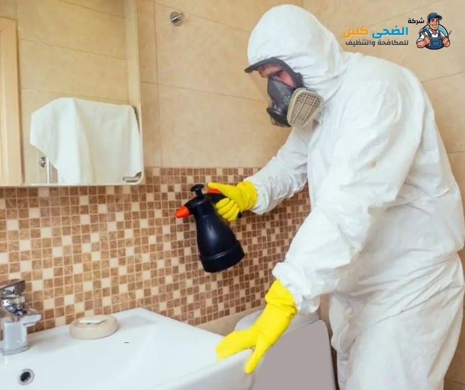 شركة رش حشرات بالاحساء