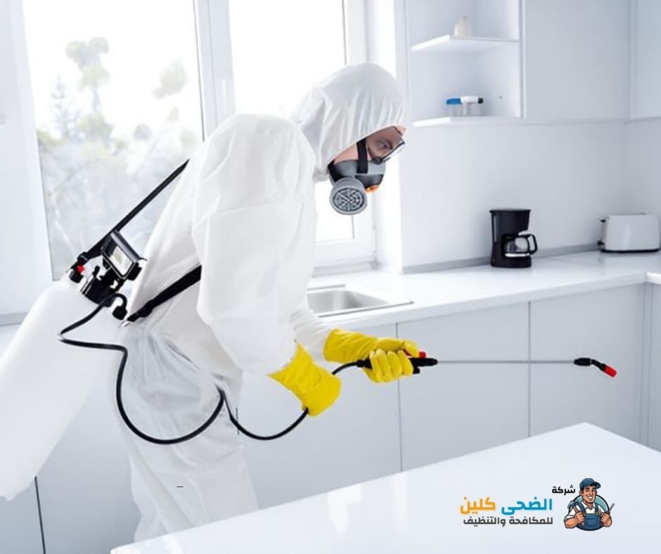 شركة رش حشرات بالاحساء